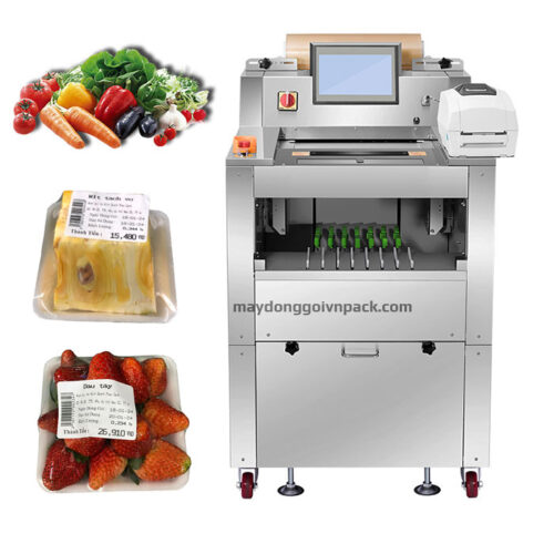 Máy bọc màng thực phẩm VN-500FS